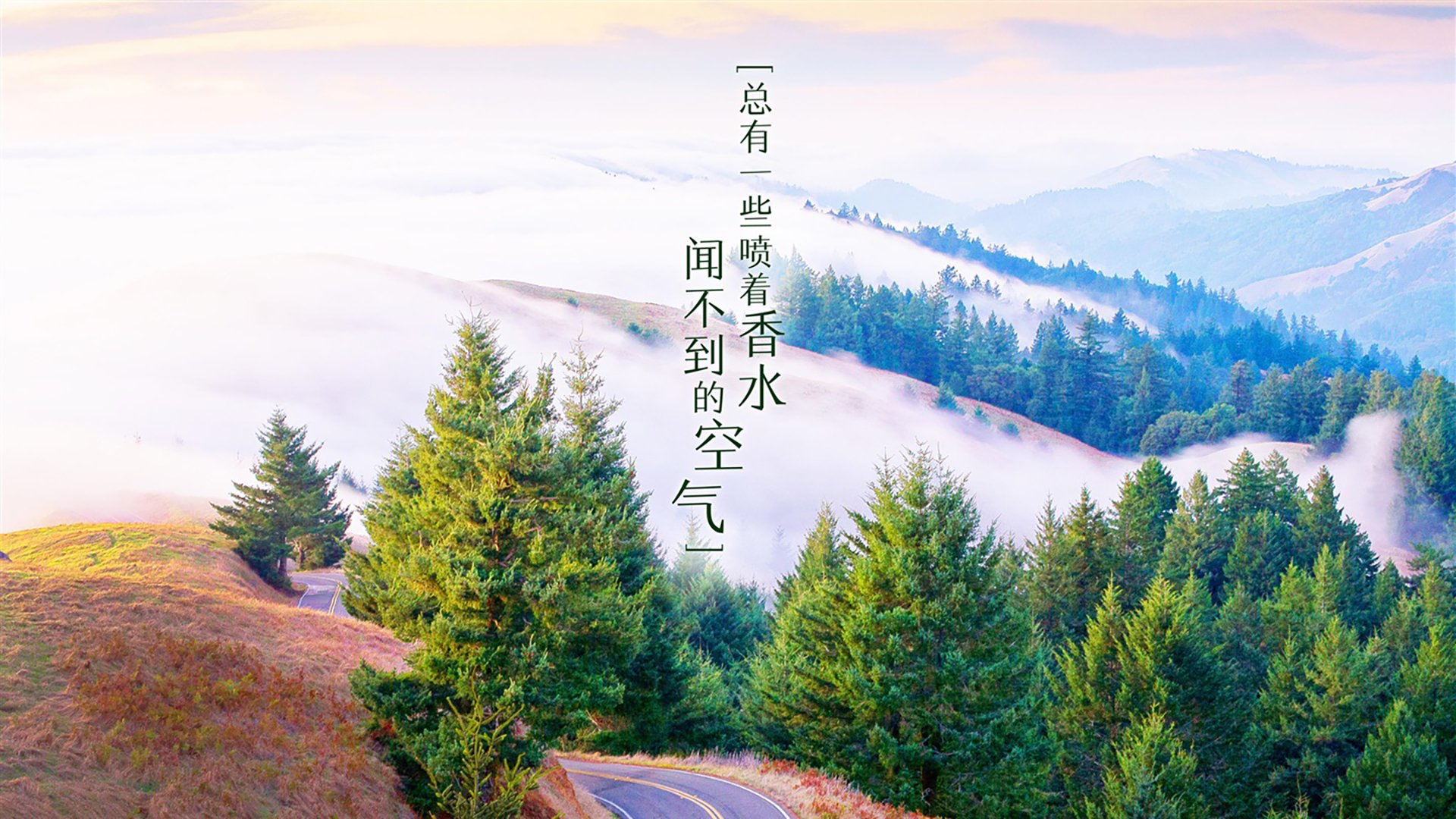 -球场突发：比赛中的意外瞬间回顾，球场发生冲突