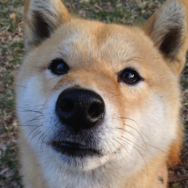 FIFA Club World Cup 2025-凯尔特人继续登顶东部，凯尔特人东部冠军次数