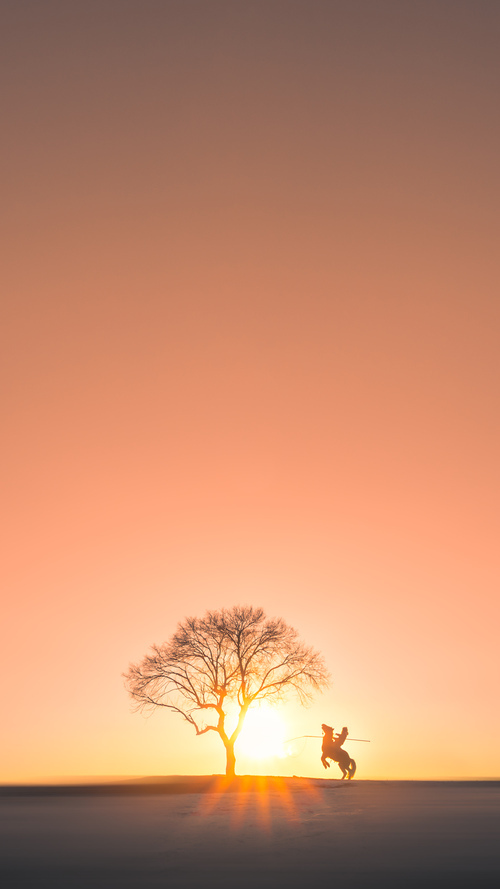 俱乐部世界杯-成都兴城客场-击败青岛黄海,开门红,成都兴城地址