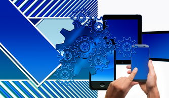 FIFA Club World Cup-中国篮球联赛品牌建设策略与粉丝经济发展路径,中国国内的篮球联赛简称