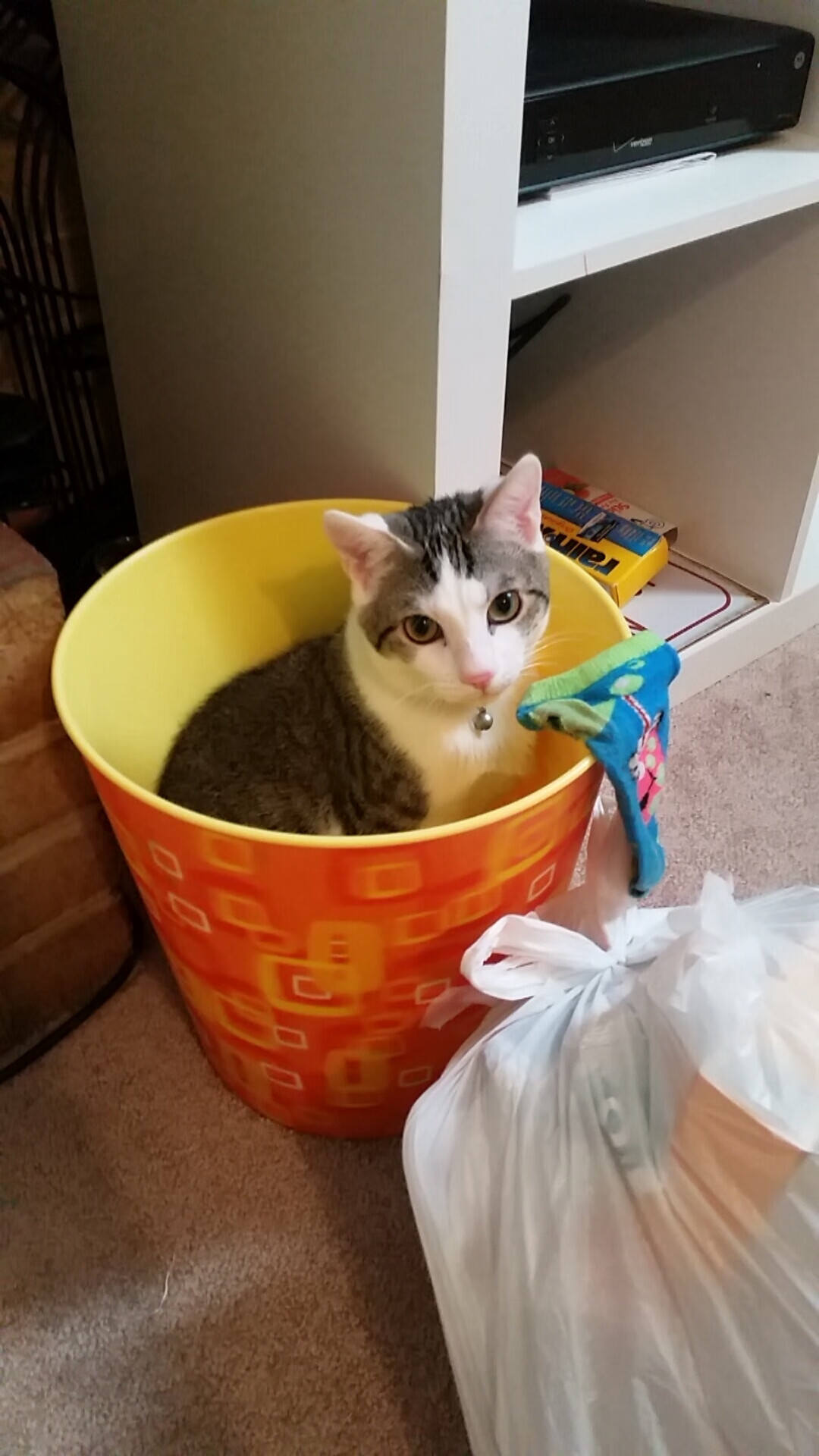 世俱杯直播在线观看免费-篮球运动员专项技能动作规范训练体系,篮球运动员专项技能动作规范训练体系有哪些