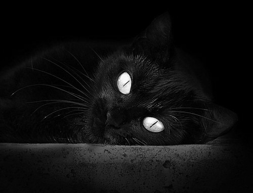 世俱杯2025赛程-运动员职业技能竞赛方案,运动员职业技能竞赛方案怎么写