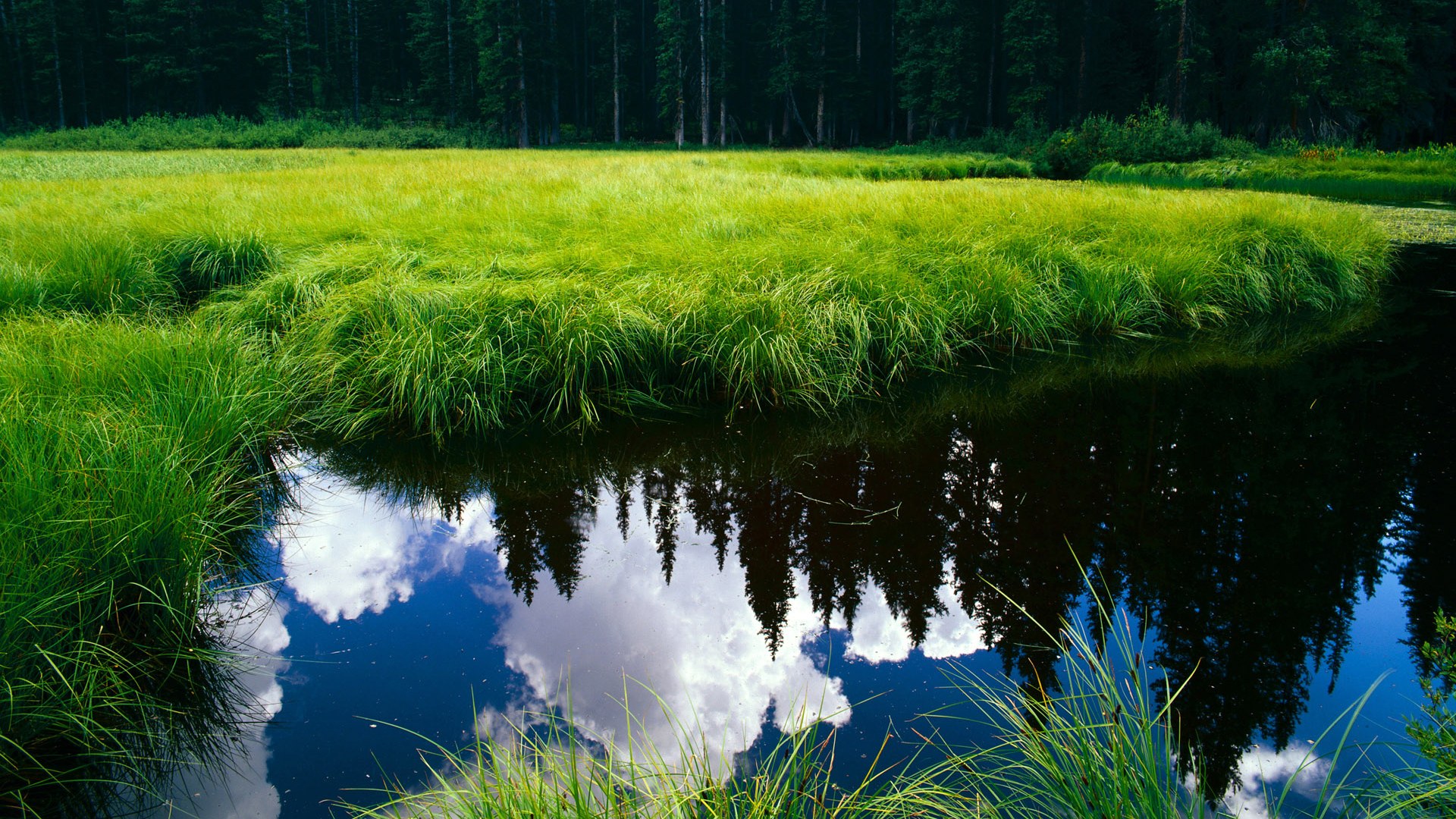 世俱杯专业体育赛事直播平台-“2025世界运动会:运动舞蹈赛场,金牛区城北体育馆的舞者将如何舞出精彩?”